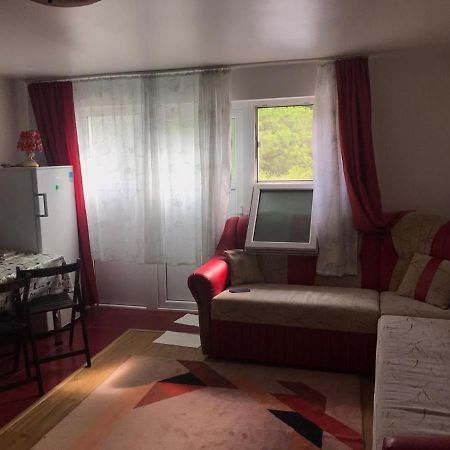 Garsoniera Lazaroiu Apartment Baile Govora Bagian luar foto