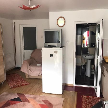 Garsoniera Lazaroiu Apartment Baile Govora Bagian luar foto